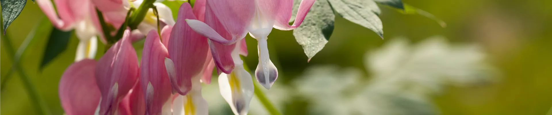 GS597841.jpg GS597841.jpg