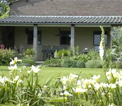 Das ganze Jahr über ein schöner Rasen – die richtige Rasenpflege Das ganze Jahr über ein schöner Rasen – die richtige Rasenpflege