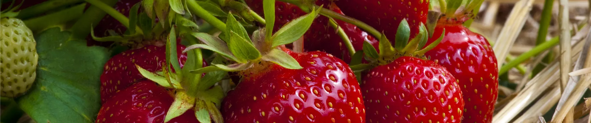 GS636802.jpg GS636802.jpg