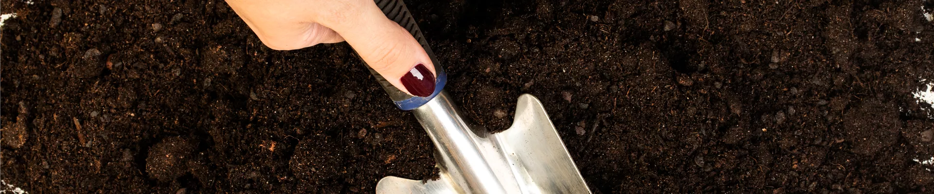 GS639642.jpg GS639642.jpg