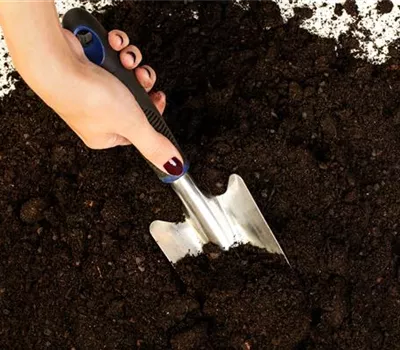 Erde für Pflanzen kaufen – ein kleiner Wegweiser durch den Dschungel Erde für Pflanzen kaufen – ein kleiner Wegweiser durch den Dschungel