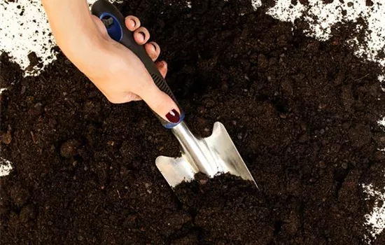 Erde für Pflanzen kaufen – ein kleiner Wegweiser durch den Dschungel Erde für Pflanzen kaufen – ein kleiner Wegweiser durch den Dschungel