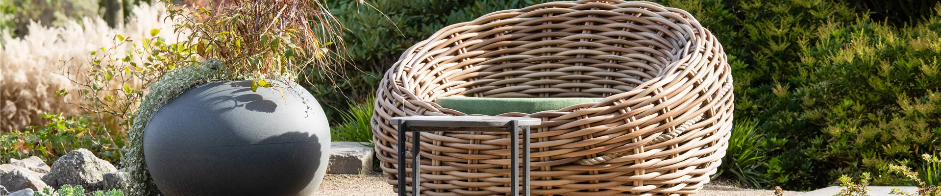 GS649778.jpg GS649778.jpg