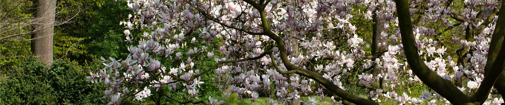 GS652610.jpg GS652610.jpg