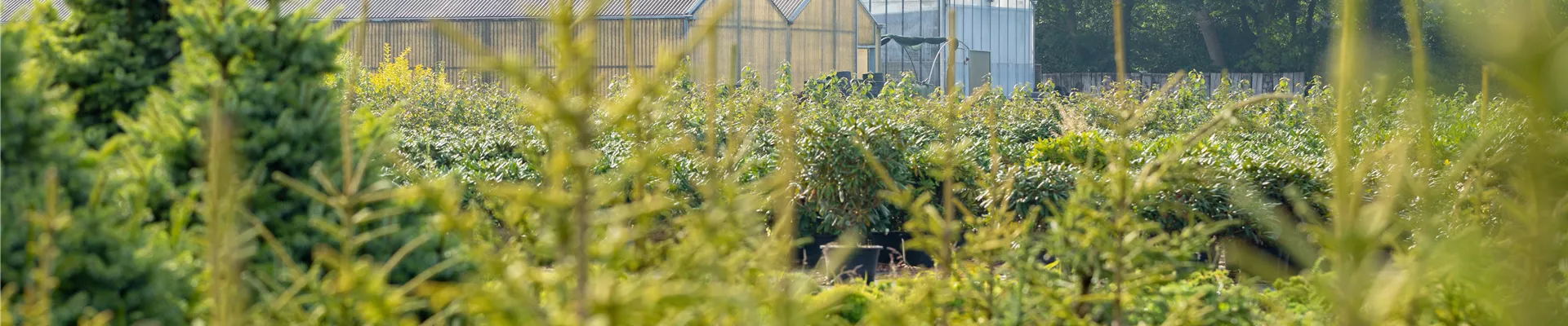 GS649633.jpg GS649633.jpg