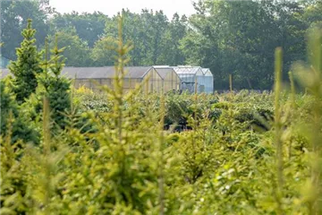 Gewächshäuser: für jeden Hobbygärtner gibt es das richtige