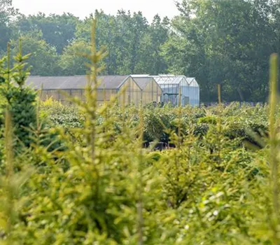 Gewächshäuser: für jeden Hobbygärtner gibt es das richtige Gewächshäuser: für jeden Hobbygärtner gibt es das richtige