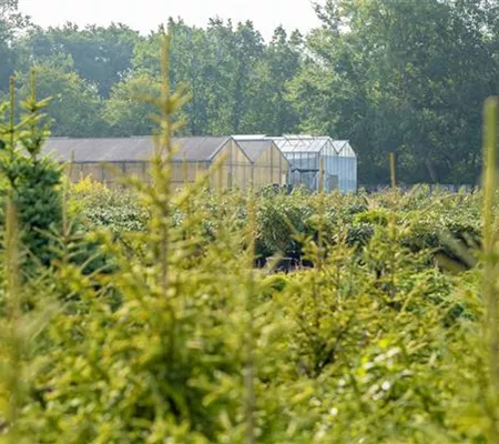 Gewächshäuser: für jeden Hobbygärtner gibt es das richtige