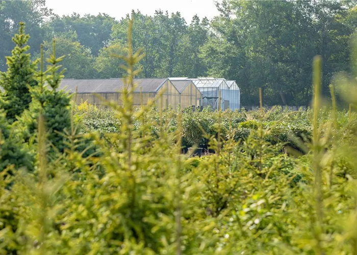 Gewächshäuser: für jeden Hobbygärtner gibt es das richtige