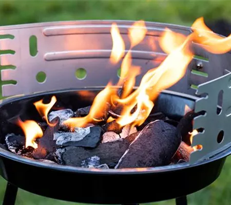 Grills und Grillzubehör – Holzkohlegrill oder Outdoor-Küche