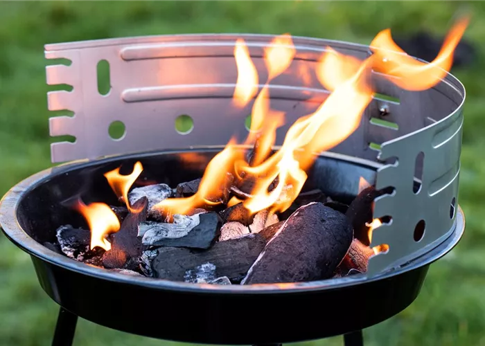 Grills und Grillzubehör – Holzkohlegrill oder Outdoor-Küche
