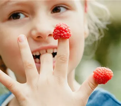 Naschobst für Kinder – fruchtige Frische für zwischendurch Naschobst für Kinder – fruchtige Frische für zwischendurch