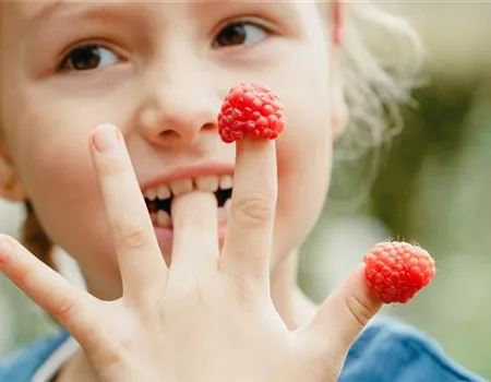 Naschobst für Kinder – fruchtige Frische für zwischendurch