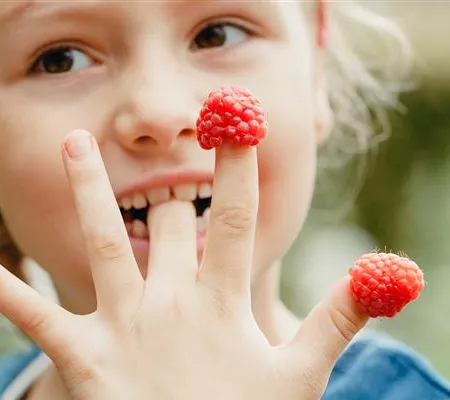 Naschobst für Kinder – fruchtige Frische für zwischendurch
