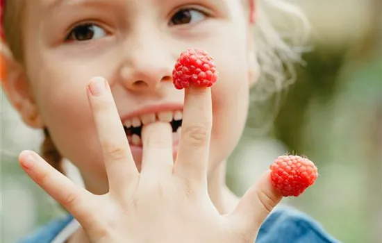 Naschobst für Kinder – fruchtige Frische für zwischendurch