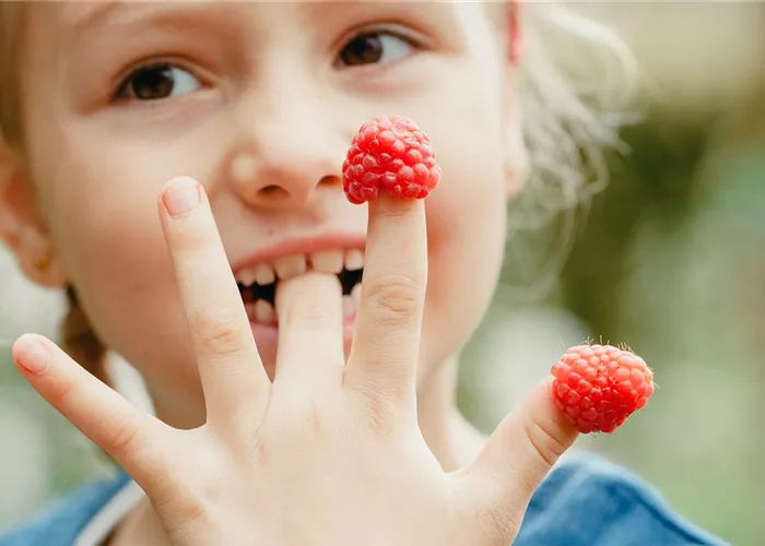 Naschobst für Kinder – fruchtige Frische für zwischendurch