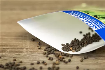 Saatgut für den Anbau im eigenen Garten