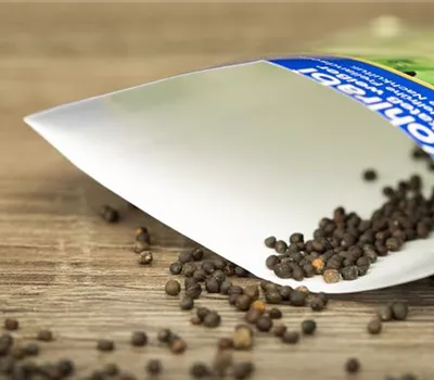 Saatgut für den Anbau im eigenen Garten Saatgut für den Anbau im eigenen Garten