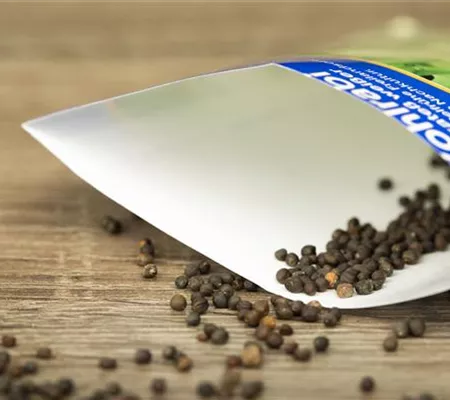 Saatgut für den Anbau im eigenen Garten