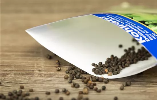 Saatgut für den Anbau im eigenen Garten Saatgut für den Anbau im eigenen Garten