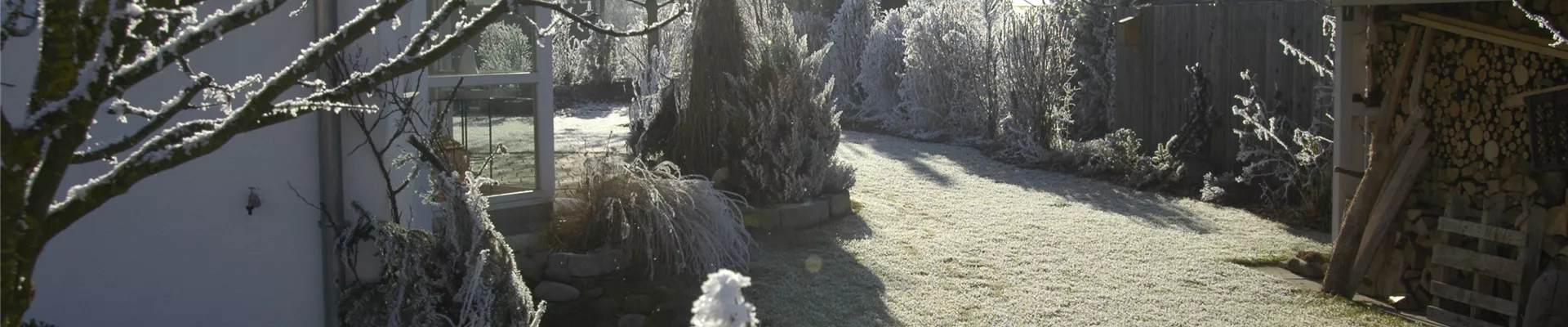 GS618980.jpg GS618980.jpg