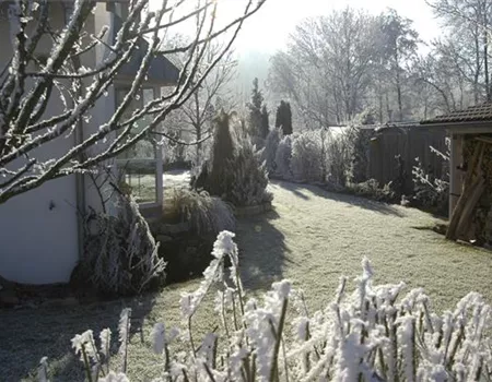 Den Garten winterfest machen – Was man beachten muss, damit nichts friert
