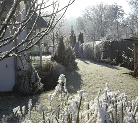Den Garten winterfest machen – Was man beachten muss, damit nichts friert Den Garten winterfest machen – Was man beachten muss, damit nichts friert