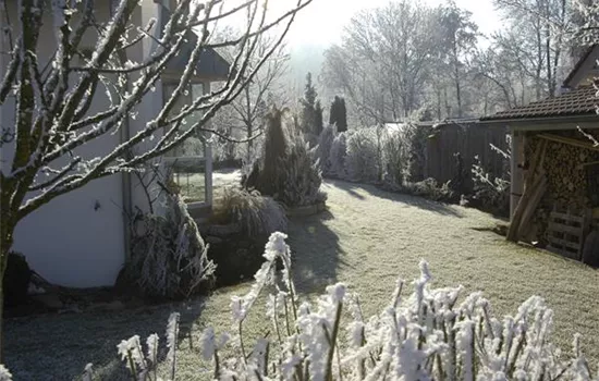 Den Garten winterfest machen – Was man beachten muss, damit nichts friert Den Garten winterfest machen – Was man beachten muss, damit nichts friert