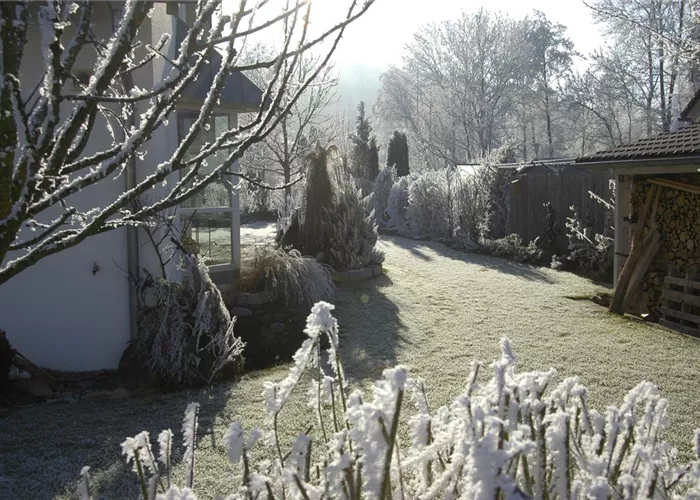 Den Garten winterfest machen – Was man beachten muss, damit nichts friert Den Garten winterfest machen – Was man beachten muss, damit nichts friert