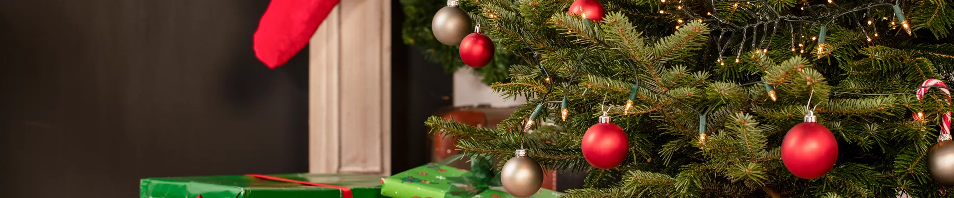 GS644381.jpg GS644381.jpg