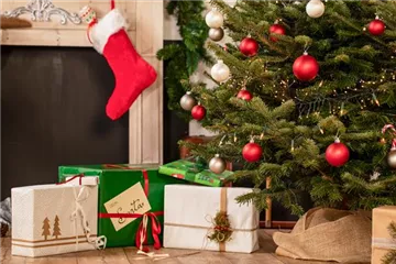 Geschenkideen zu Weihnachten - mit Pflanzen dauerhaft Freude bringen