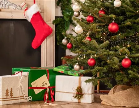 Geschenkideen zu Weihnachten - mit Pflanzen dauerhaft Freude bringen