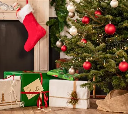 Geschenkideen zu Weihnachten - mit Pflanzen dauerhaft Freude bringen