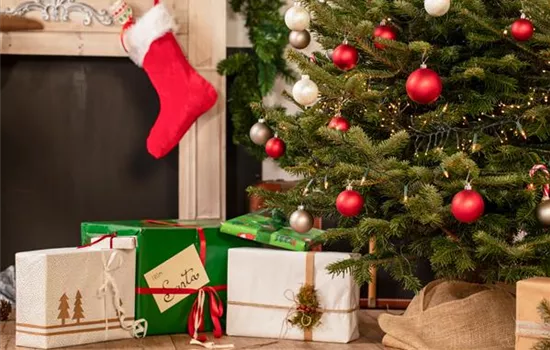 Geschenkideen zu Weihnachten - mit Pflanzen dauerhaft Freude bringen Geschenkideen zu Weihnachten - mit Pflanzen dauerhaft Freude bringen