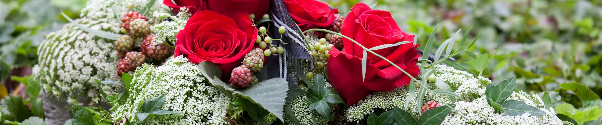 GS502010.jpg GS502010.jpg