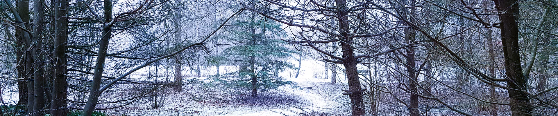 GS644428.jpg GS644428.jpg