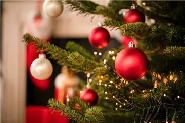 Weihnachtsbäume – wunderschöne Symbole der besinnlichen Zeit