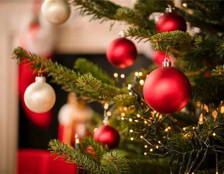 Weihnachtsbäume – wunderschöne Symbole der besinnlichen Zeit