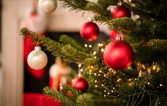 Weihnachtsbäume – wunderschöne Symbole der besinnlichen Zeit