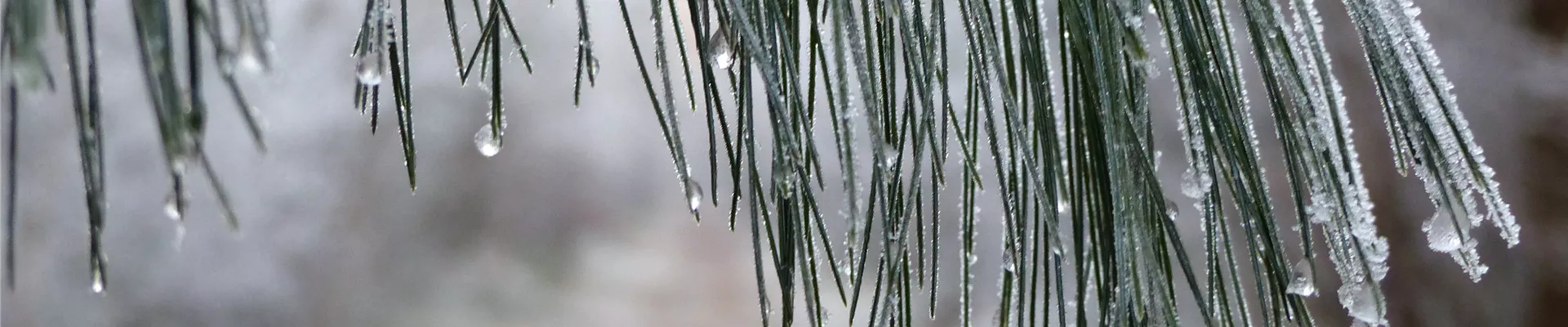 GS644435.jpg GS644435.jpg