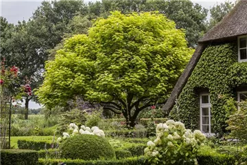 Gartenplanung leicht gemacht - damit der Garten zu einem Paradies wird