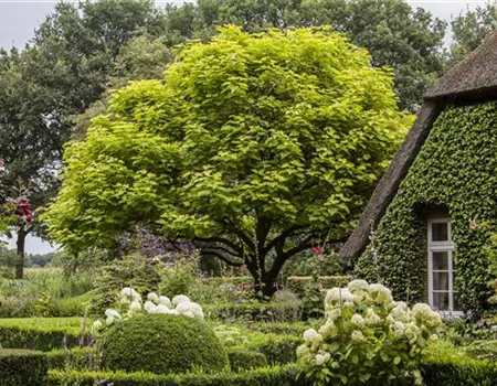 Gartenplanung leicht gemacht - damit der Garten zu einem Paradies wird