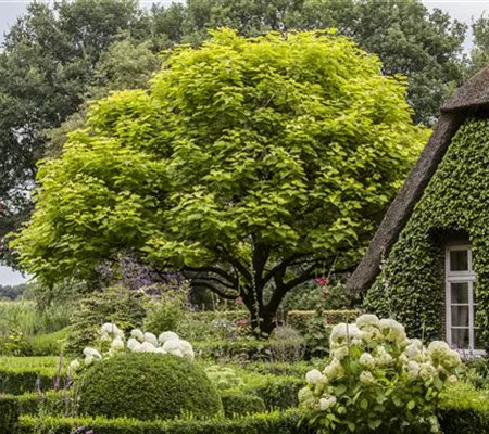 Gartenplanung leicht gemacht - damit der Garten zu einem Paradies wird