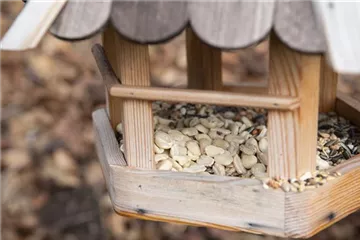 Liebe für alle: zum Valentinstag ein Vogelhaus bauen!
