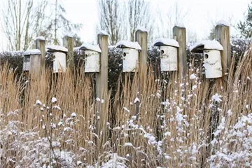 Fettfutter für Vögel selber herstellen Fettfutter für Vögel selber herstellen