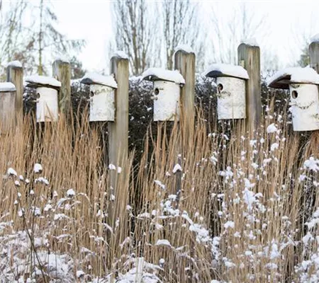 Fettfutter für Vögel selber herstellen