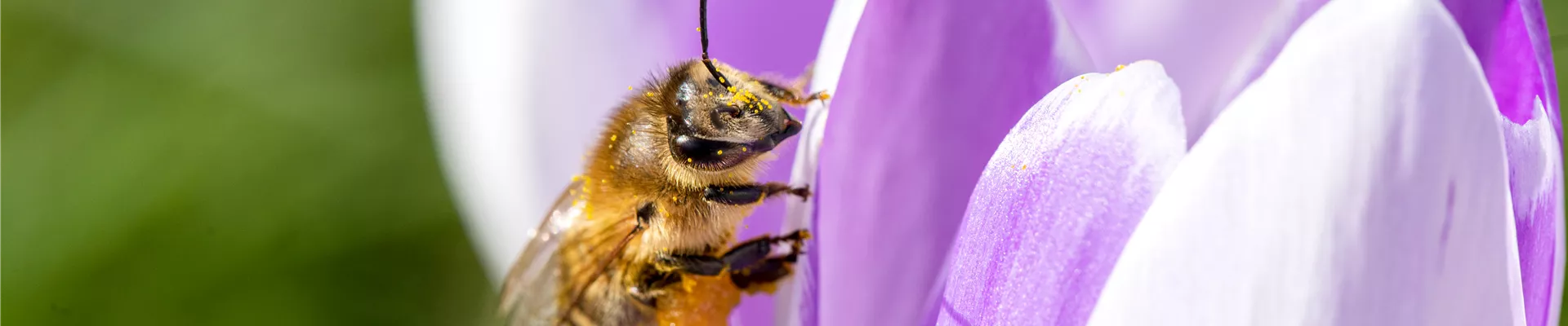 GS651114.jpg GS651114.jpg