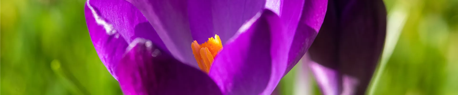 GS651098.jpg GS651098.jpg