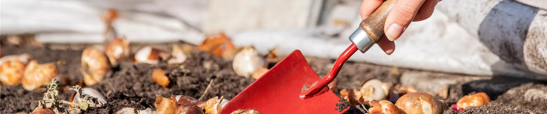 GS676184.jpg GS676184.jpg