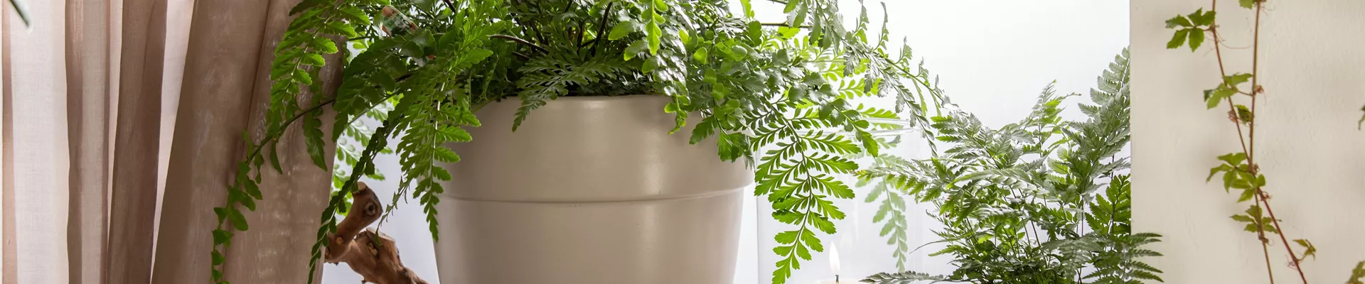 GS610229.jpg GS610229.jpg